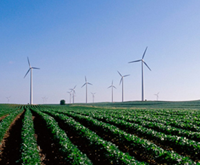 Bowei Bearing Application